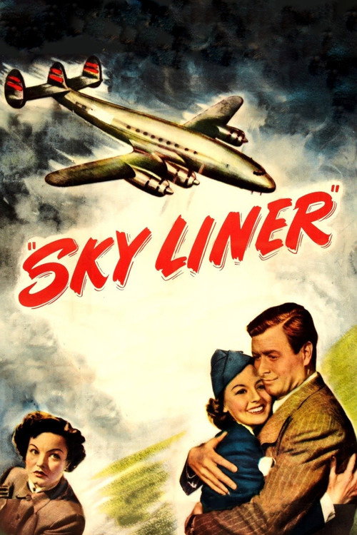 Cartel de Sky Liner