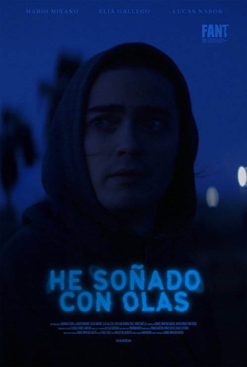 Cartel de He soñado con olas