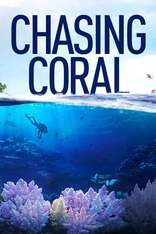 Cartel de En busca del coral