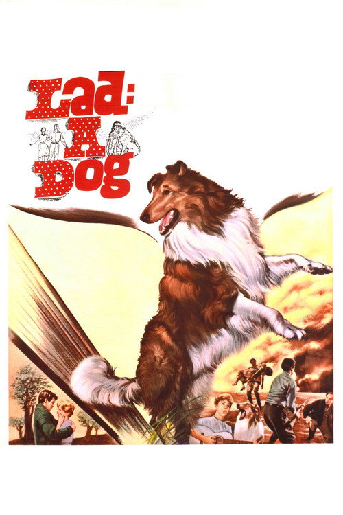 Cartel de Lad: A Dog