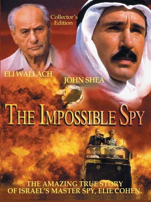 Cartel de The Impossible Spy