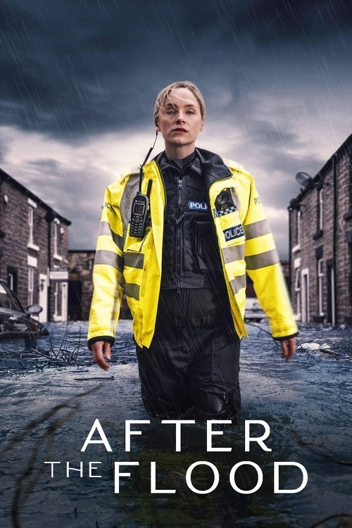 Cartel de After the Flood