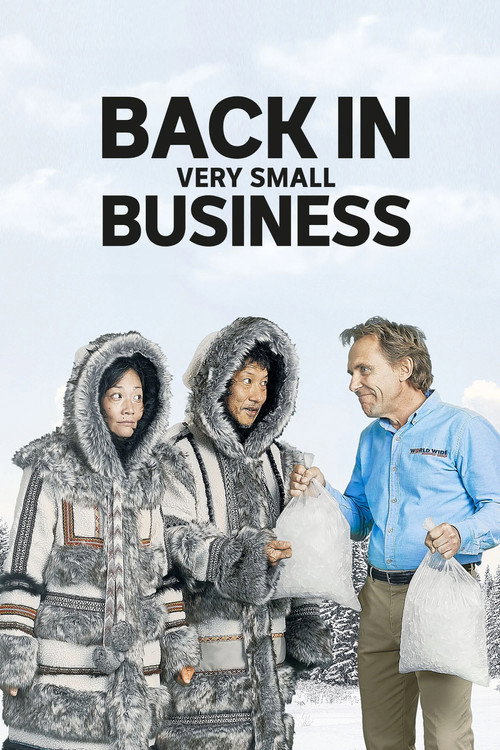Cartel de Back in Very Small Business
