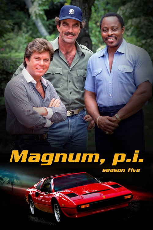 Magnum Temporada 5