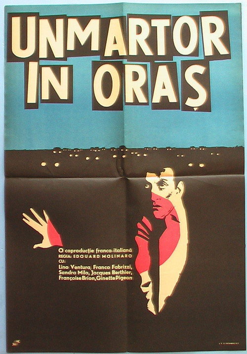 Cartel de Sólo un testigo