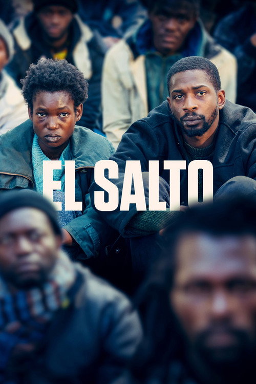 Cartel de El salto