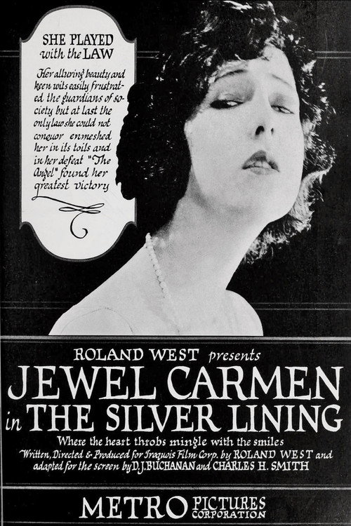 Cartel de The Silver Lining
