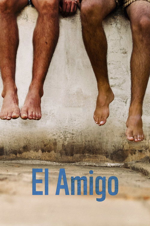 Cartel de El amigo