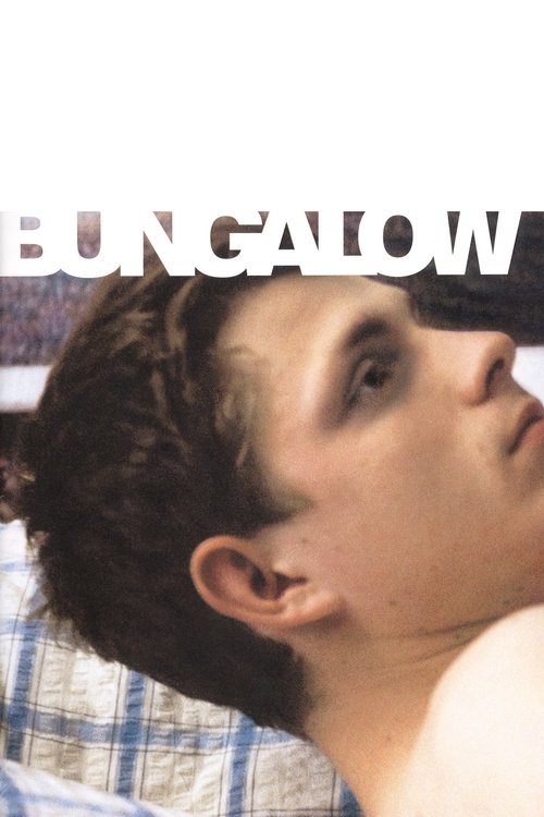 Cartel de Bungalow