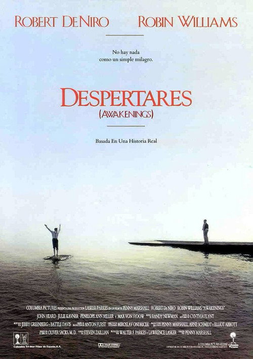 Cartel de Despertares