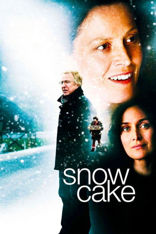 Cartel de Snow Cake