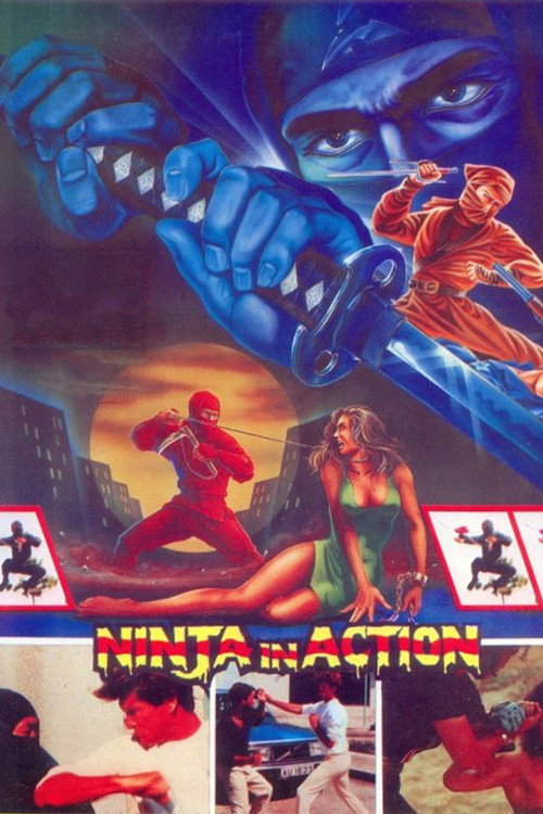 Cartel de Ninja in Action