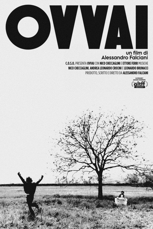 Cartel de OVVAI
