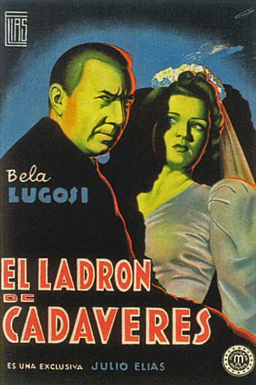 Cartel de El ladrón de cadáveres