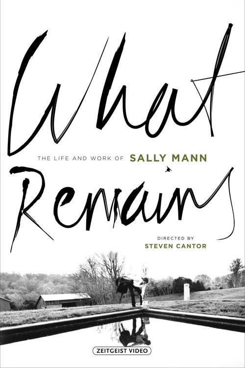 Cartel de What Remains