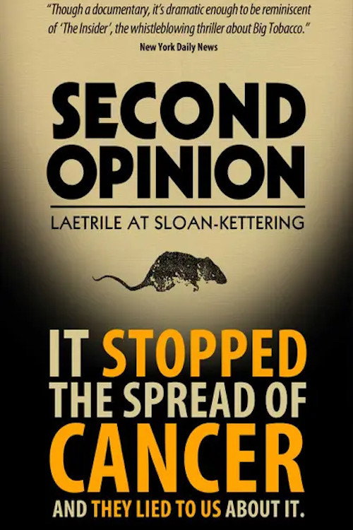 Cartel de Second Opinion