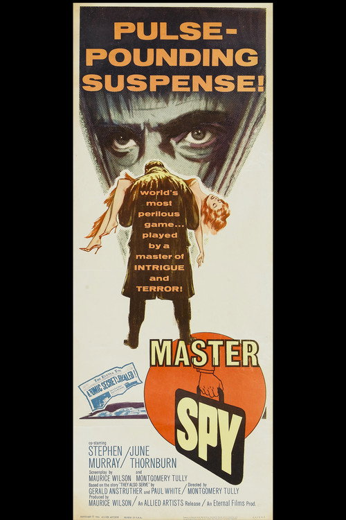 Cartel de Master Spy