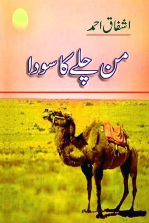Cartel de Mann Chalay Ka Sauda