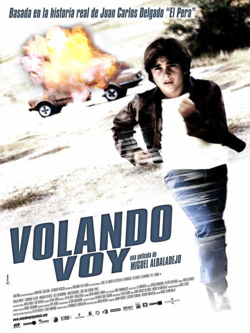 Cartel de Volando voy
