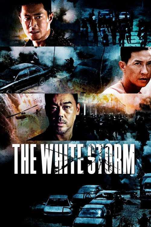 Cartel de The White Storm