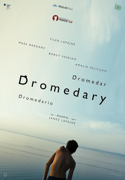 Cartel de Dromedar