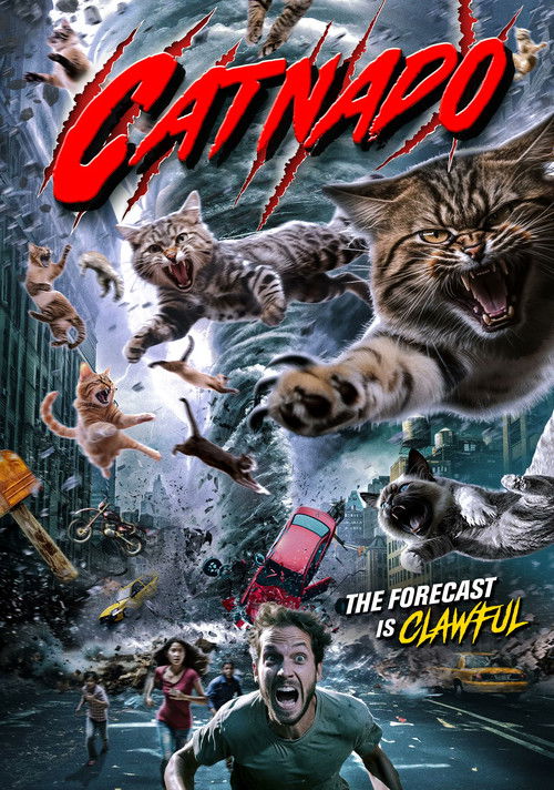 Cartel de Catnado