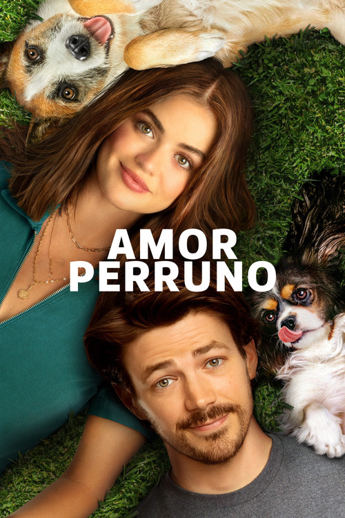Cartel de Puppy Love