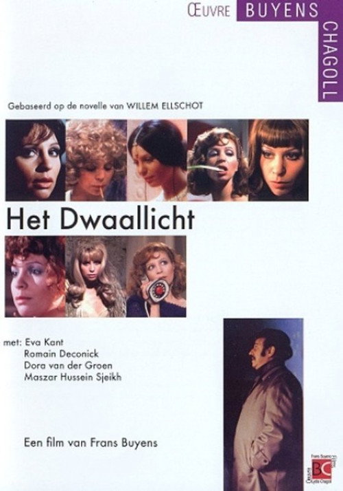 Cartel de Het Dwaallicht