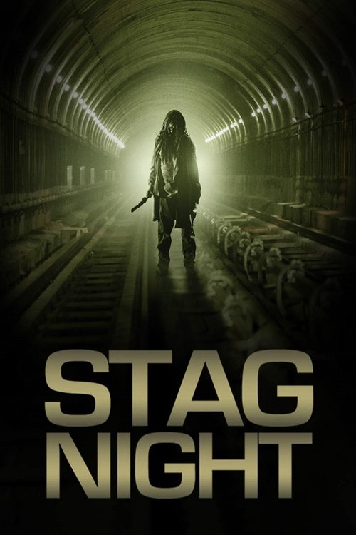 Cartel de Stag Night