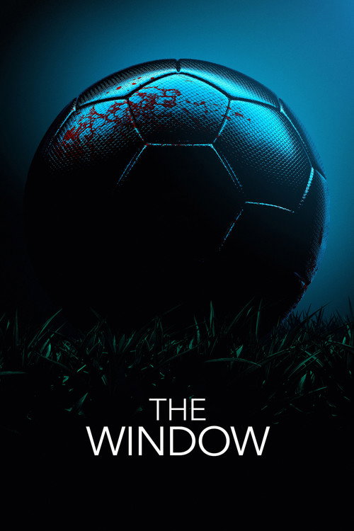 Cartel de The Window