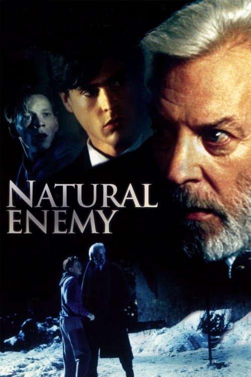 Cartel de Natural Enemy