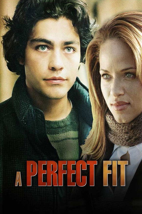 Cartel de A Perfect Fit
