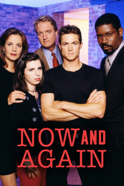 Cartel de Now and Again