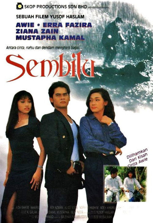 Cartel de Sembilu