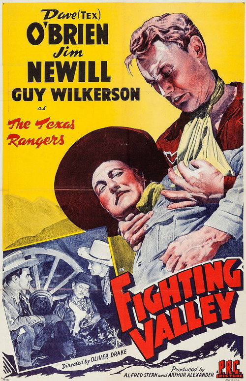 Cartel de Fighting Valley