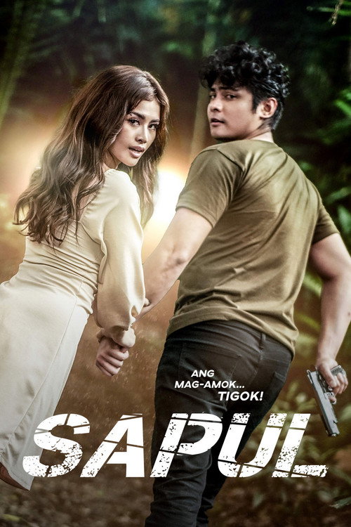 Cartel de Sapul