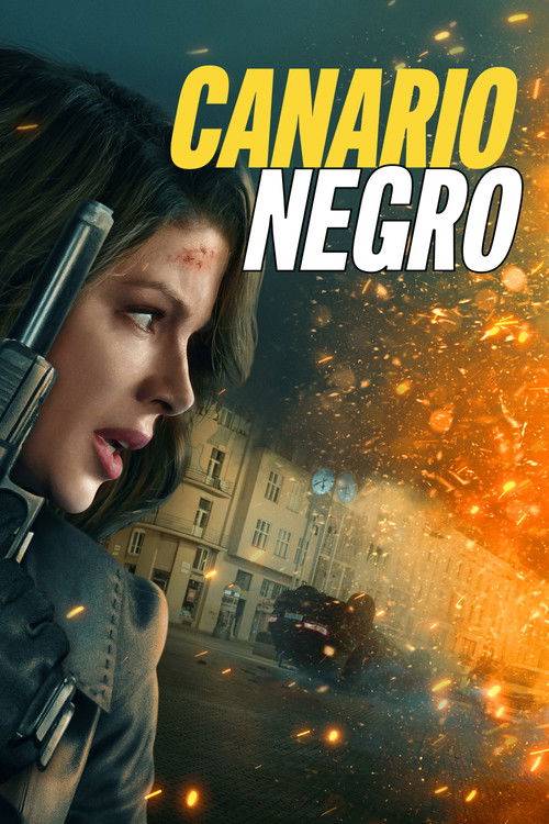 Cartel de Canario Negro