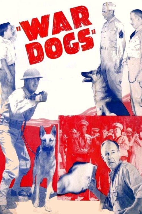 Cartel de War Dogs
