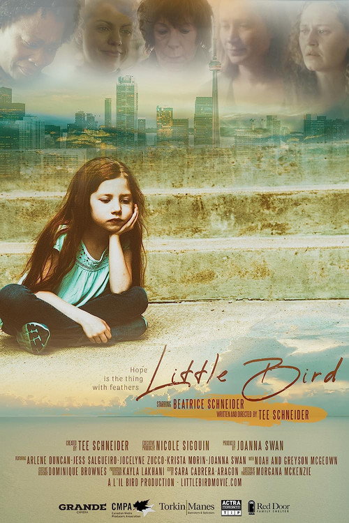Cartel de Little Bird