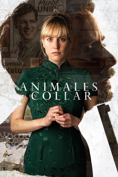 Cartel de Animales sin collar