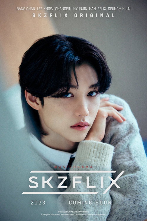 Cartel de SKZFLIX (樂-STAR)
