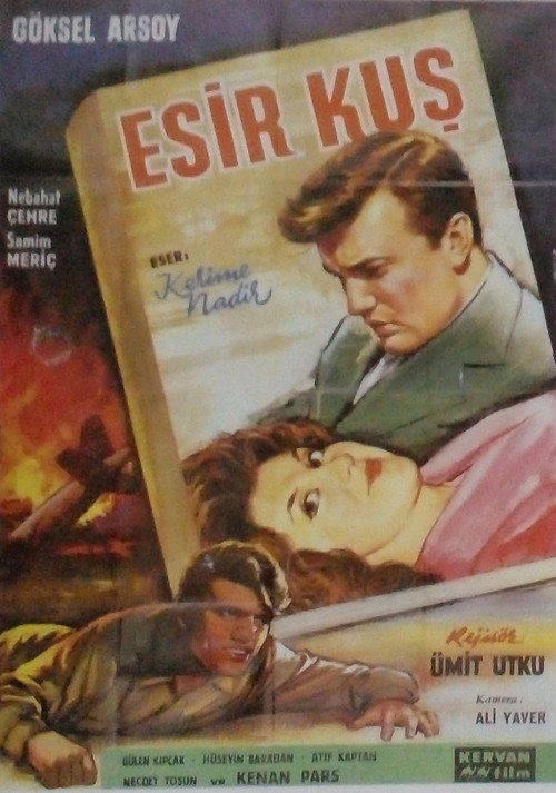 Cartel de Esir Kuş