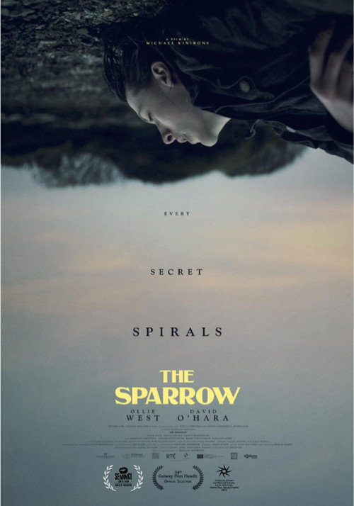 Cartel de The Sparrow