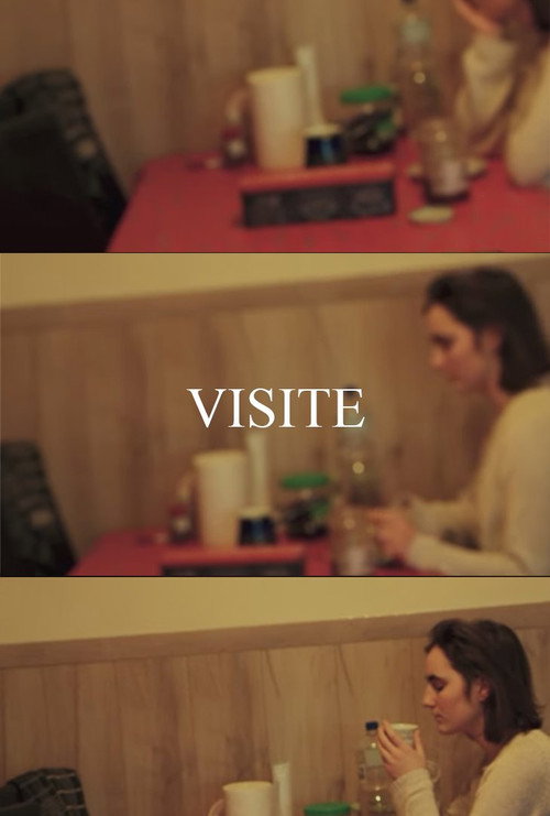 Cartel de VISIT