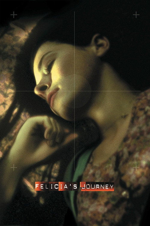 Cartel de El viaje de Felicia