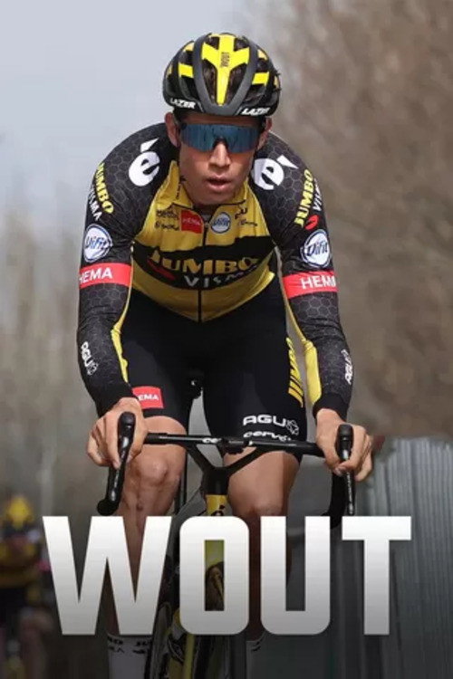 Cartel de Wout