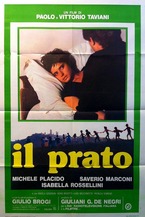 Cartel de Il prato