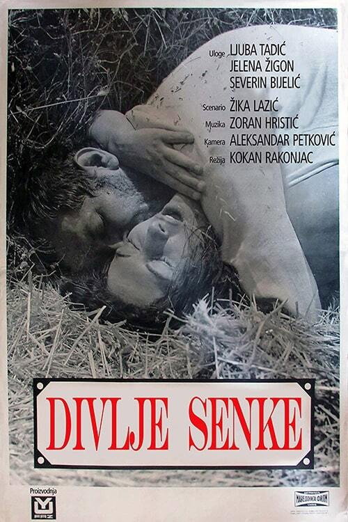 Cartel de Divlje seme