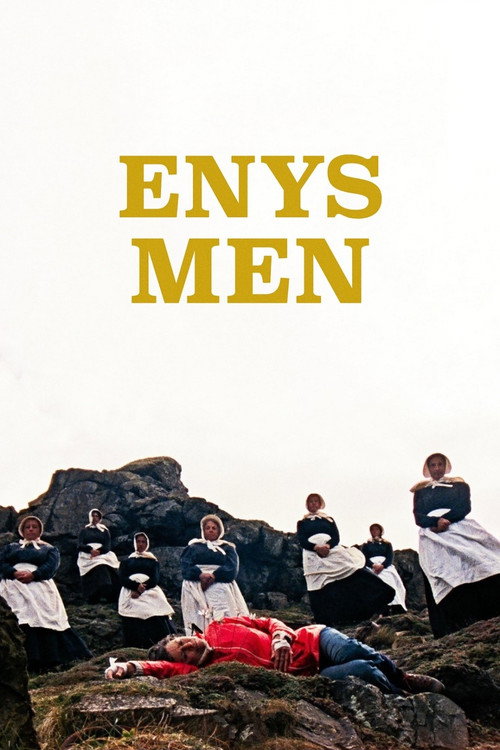 Cartel de Enys Men
