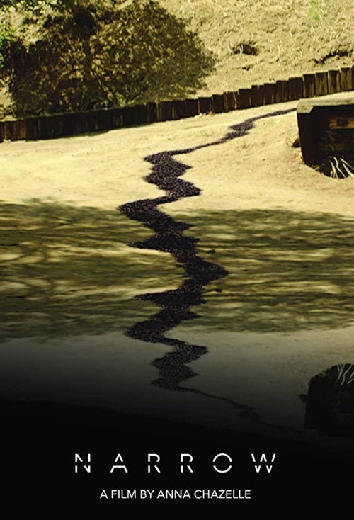 Cartel de Narrow